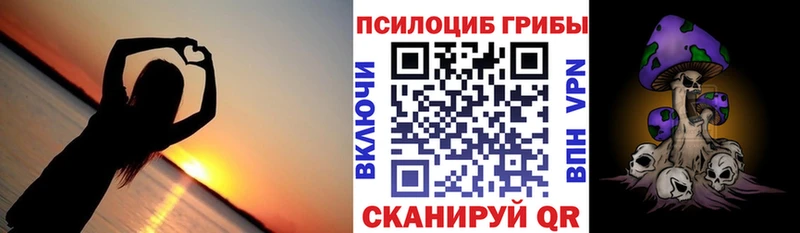 Псилоцибиновые грибы Psilocybe  сколько стоит  Стерлитамак 