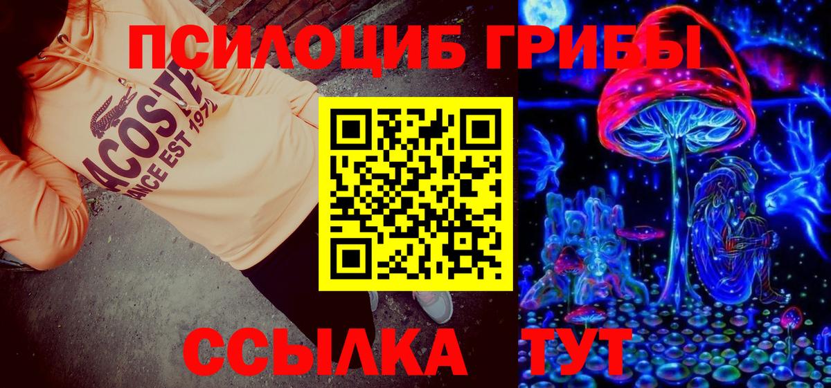 Псилоцибиновые грибы Psilocybe  Вход с VPN  Стерлитамак 
